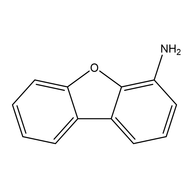 4-amino dibenzofuran